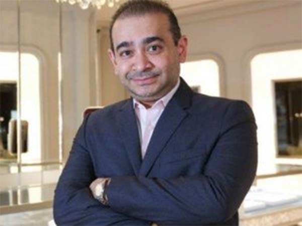  కుక్క కోసం బెయిల్ ఇవ్వండి!