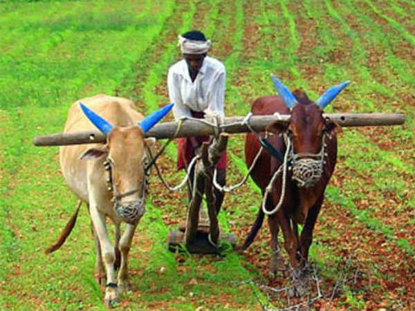 ఏడాదికి రూ.12,500