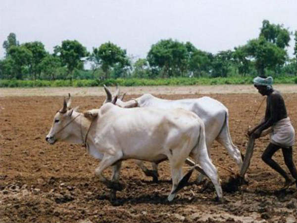 అగ్రికల్చర్ మిషన్