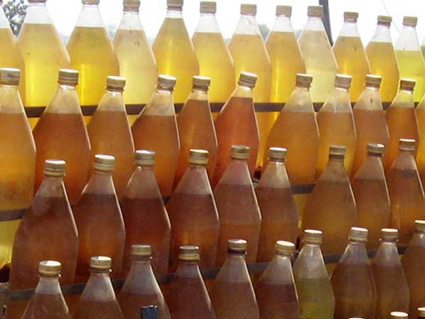 ప్లాస్టిక్‌తో పెట్రోల్ తయారీ