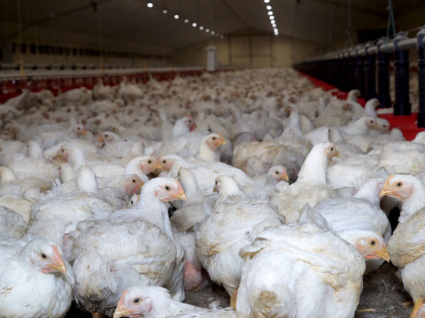 ప్రస్తుతం అందుబాటులోకి