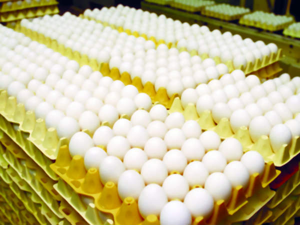 ఫారం గాటు ధర తక్కువే...