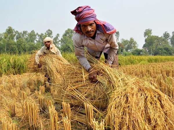 రెండు విడతల్లో ఎంత ఇచ్చారంటే..