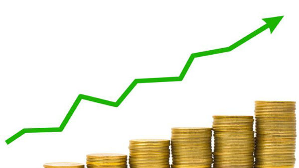 లాభాల్లో నే కంపెనీ...