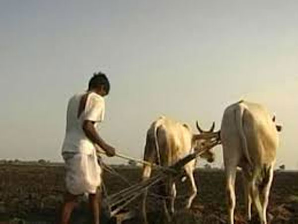 కౌలు రైతులకు కూడా రైతు భరోసా