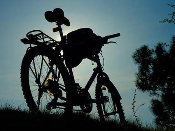 ఆ సంస్థలకు స్విగ్గీ గట్టి పోటీ