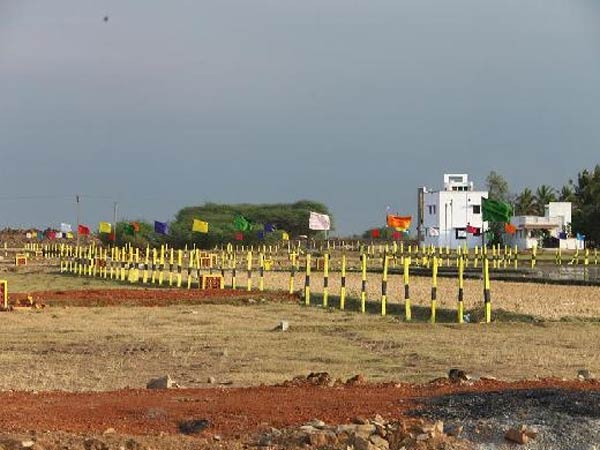 ఇవి తప్పనిసరి..