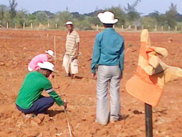 ఆరు నెలల్లో క్రమబద్ధీకరణ.. తిరస్కరిస్తే అప్పీలేట్‌కు...