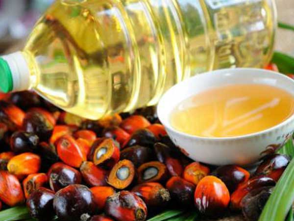 ఉత్పత్తి ఎంతంటే?