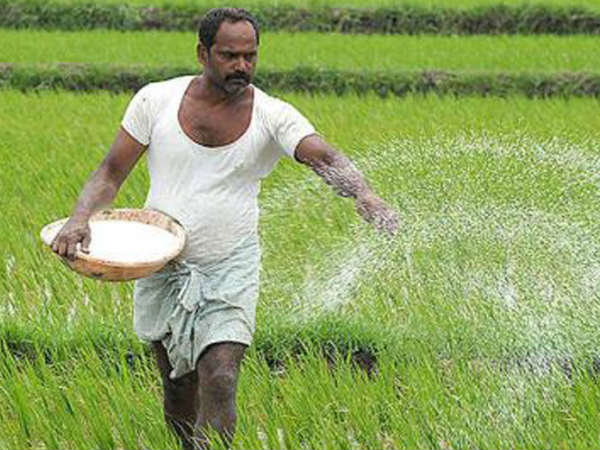 100% బీమా ప్రీమియం