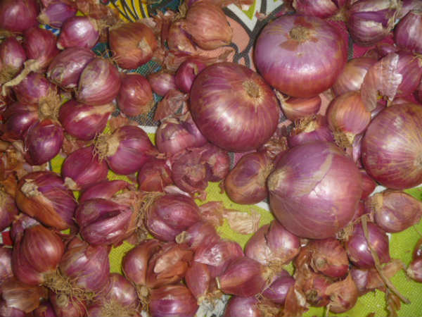 కిలో ఉల్లికి ఏమొస్తుంది?