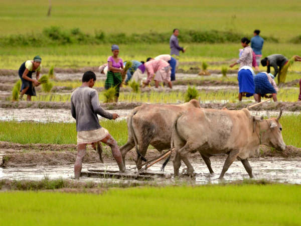 ఆ వివరాలు వచ్చాక అకౌంట్లలోకి రైతు బంధు నిధి