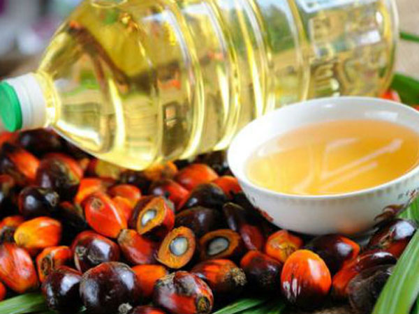 భారత్ దెబ్బకు...