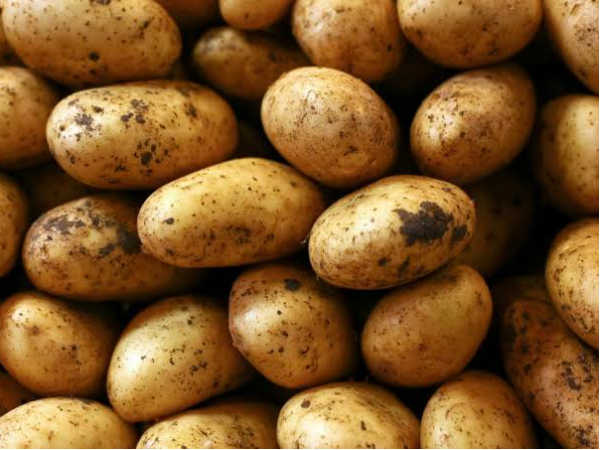 తలరాత మార్చిన బంగారు పంట... 