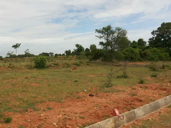 కొత్త లేఅవుట్లకు..