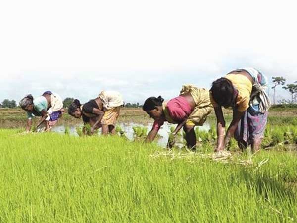 రైతులకు అవగాహన కల్పిస్తాం