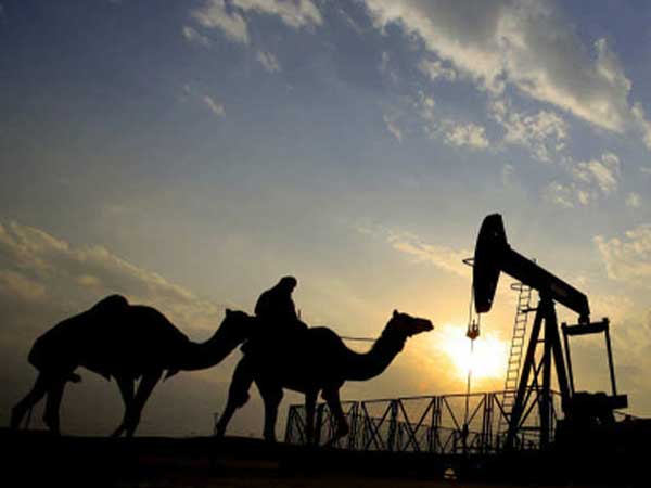 15 ఏళ్లలో మొత్తం ఖాళీ...