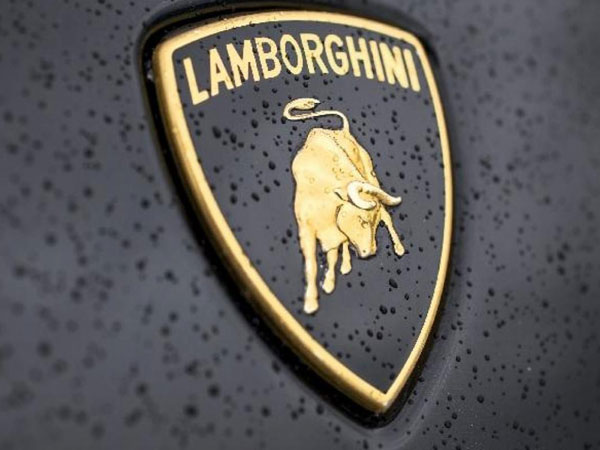  20 శాతం వాటా..