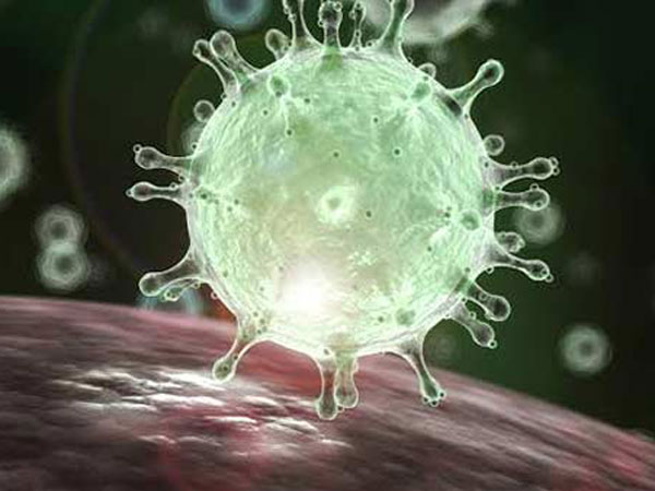 తొలి వైరస్ కరోనా