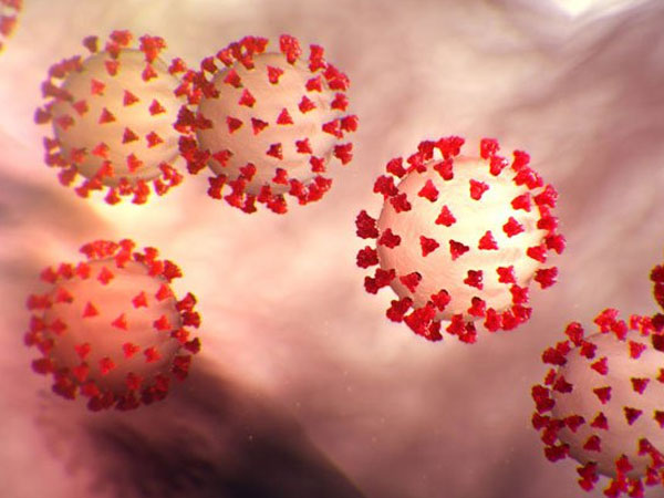 కరోనా తీవ్రంగానే ఉంది..