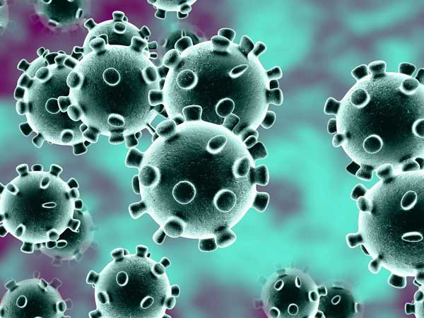 రెస్పాన్స్ ఎలా ఉంటుందో...