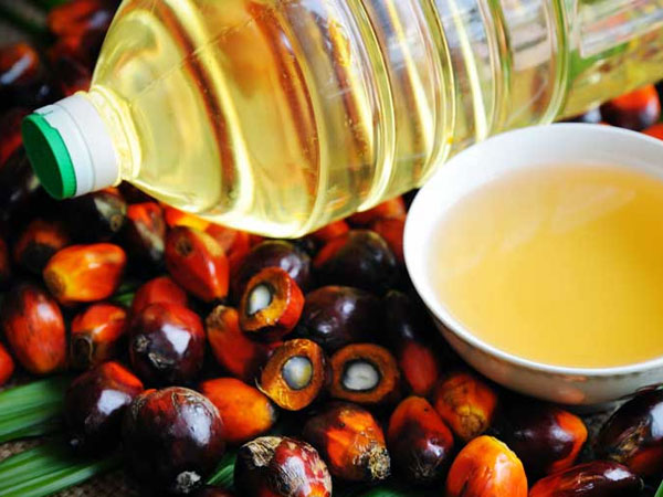 ఇష్టారీతిన పెంచకుండా..