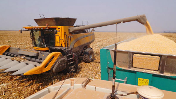  వ్యవసాయ రంగమే కాపాడిందా..?