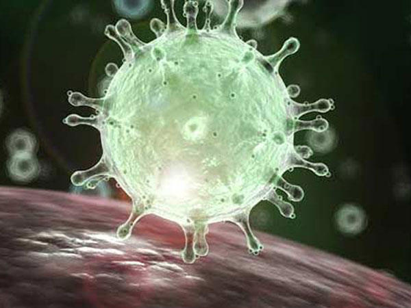 కరోనా వల్ల పడిపోయింది