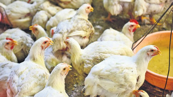 పెరిగిన వినియోగం...