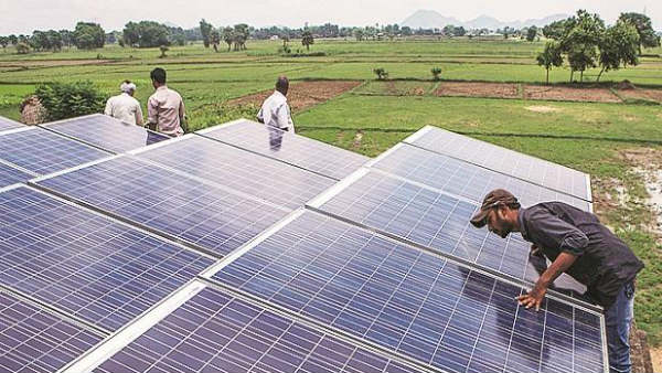 ఎగిసిపడిన షేర్లు