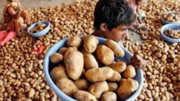 గతంతో పోలిస్తే కోల్డ్ స్టోరేజ్ లలో తక్కువ స్టాక్