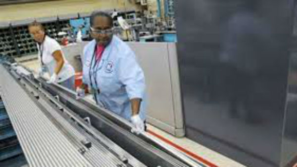 ఎనిమిది నెలల గరిష్టానికి..