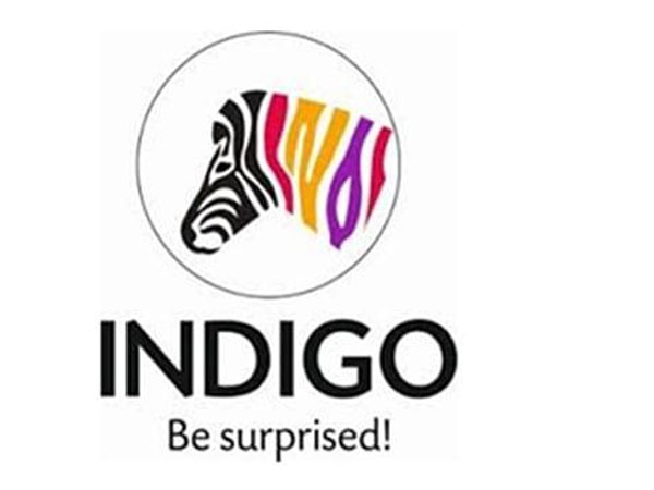 ఇండిగో పెయింట్స్ పబ్లిక్ ఇష్యూకి మంచి రెస్పాన్స్