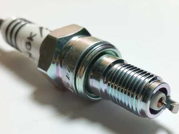 బంగారం కంటే ఎక్కువ ఖరీదు