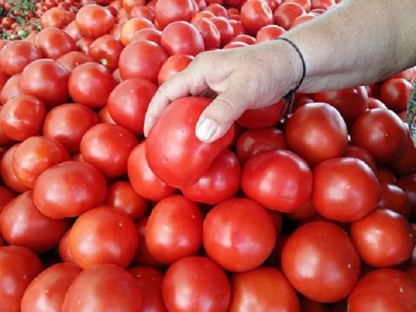 రెండింతలు పెరిగిన టొమాటో ధర