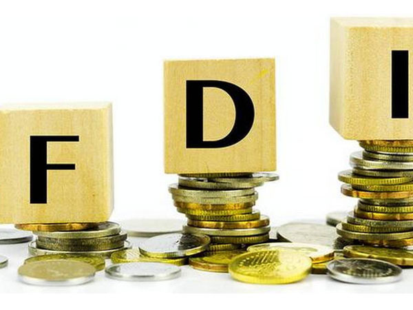 20 శాతం ఎఫ్డీఐ