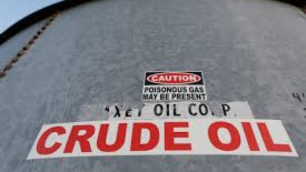 ఈ ఏడాది 20 శాతం జంప్