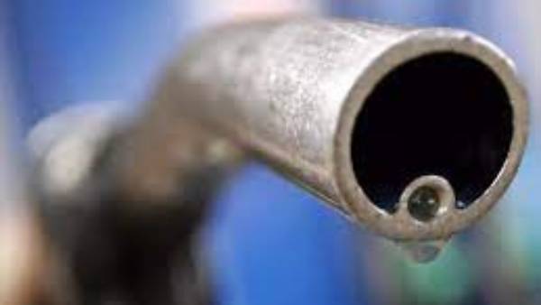 సోనీ మ్యూజిక్.. డిస్నీలాండ్