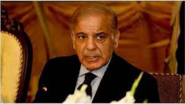 ఉత్పాదకతపై