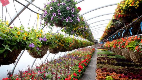 నరేగాతో లింక్..