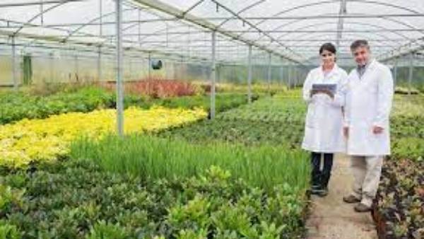 పండ్లు, పూలు, కూరగాయలకు