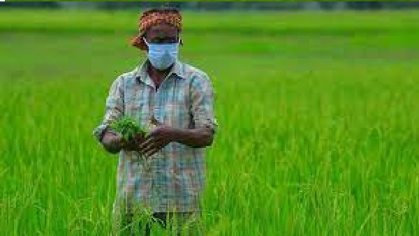 PACS అంటే ఏమిటి..