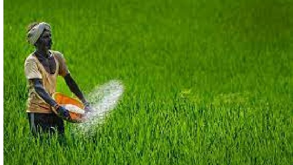 నోడల్ సర్వీస్ డెలివరీ పాయింట్‌గా..