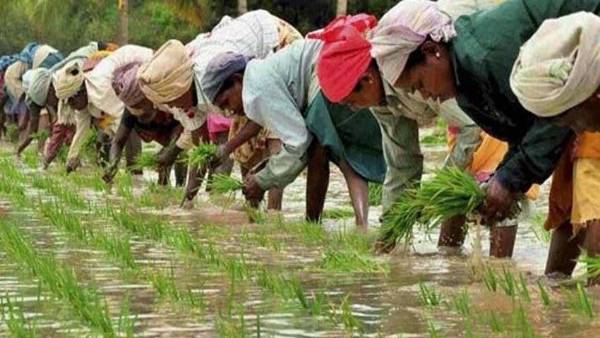 యూపీ రైతుకు నోటీసులు: