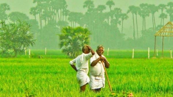  జాబితాలో పేరు ఉందోలేదో ఇలా తెలుసుకోండి..