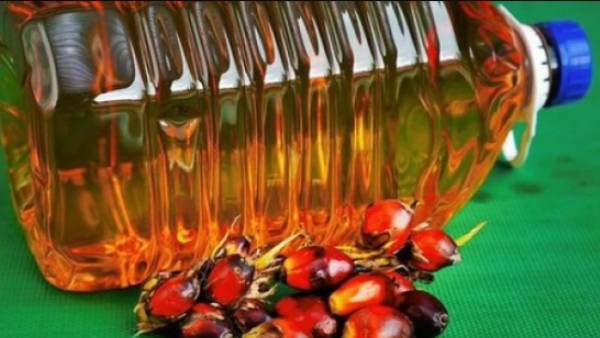 33 శాతం తగ్గుదల.. 