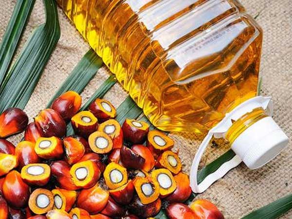 రైతులను ప్రోత్సహించాల్సిందే..