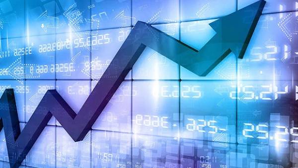 ఐపీవోపై ఇన్వెస్టర్ల స్పందన..