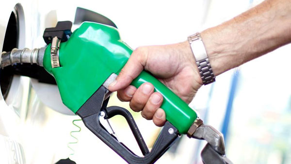 Fuel rates on August 23, 2022: Check todays Petrol and Diesel price here for your city. Fuel rates on August 23, 2022: Check todays Petrol and Diesel price here for your city.