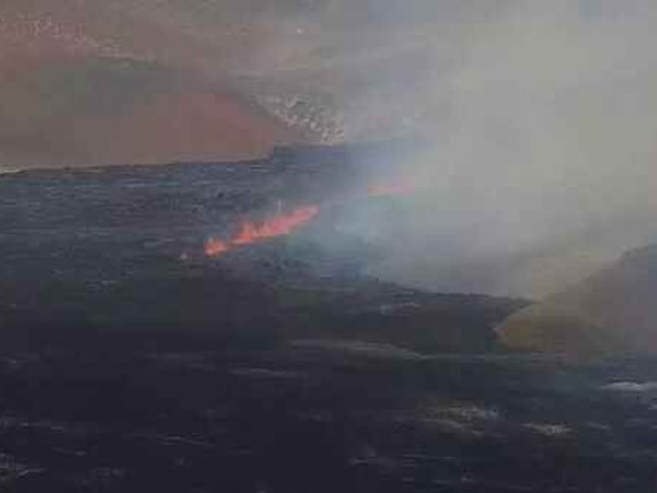 200 పౌండ్ల బరువు మోసుకుంటూ..